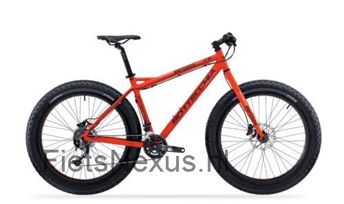 Bottecchia Senales specificaties